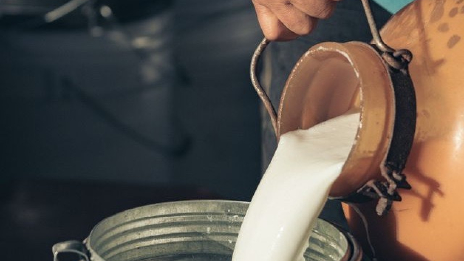 Coldiretti, latte: accordo sul prezzo e passo importante per stabilità allevamenti